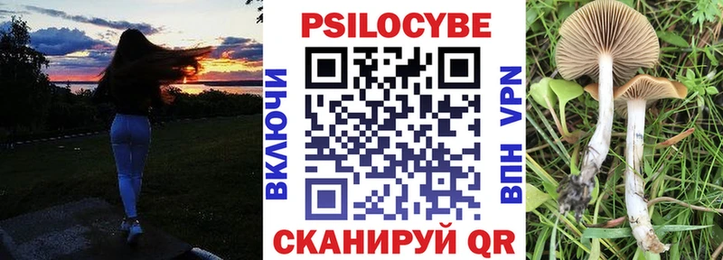 Псилоцибиновые грибы Psilocybe  это Telegram  Волгоград  наркошоп 